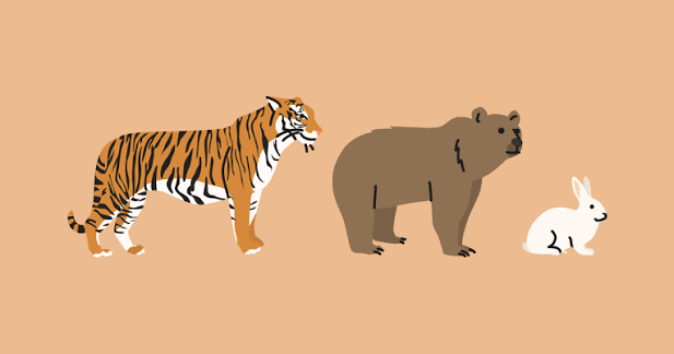 Exercise Image